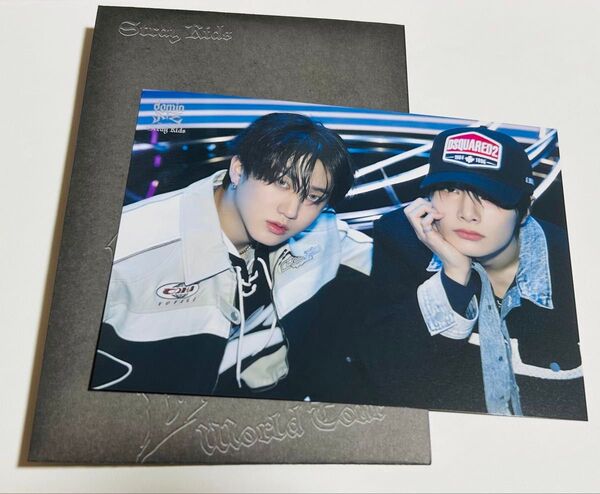 Stray kids チャンビン&アイエン domin ATE ラントレ
