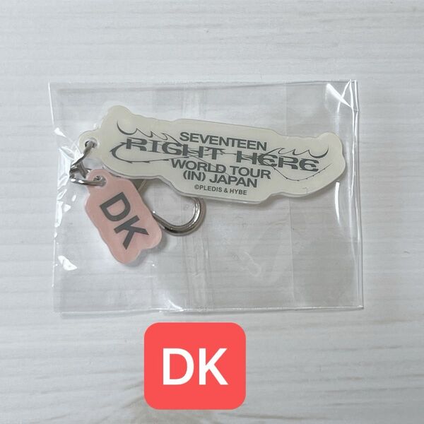 RIGHT HERE WORLD TOUR in JAPAN カプセルトイ
