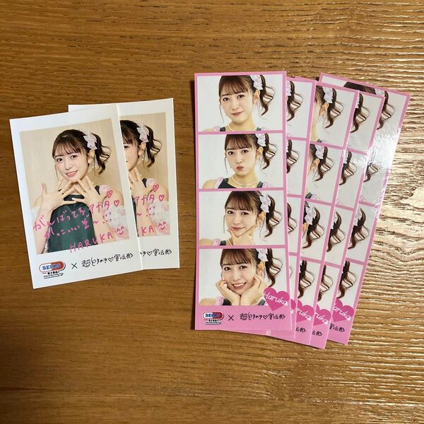 セイムス 超ときめき宣伝部 オリジナルステッカー7枚セット 小泉遥香