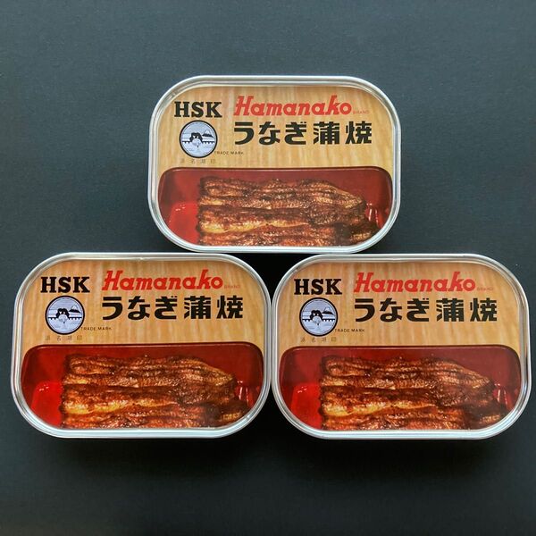 国産うなぎ蒲焼 100g×3缶 浜名湖食品 賞味期限27年2月 缶詰おつまみキャンプ飯防災非常食保存食ウナギ鰻ポイントクーポン消化