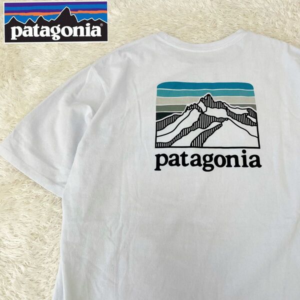patagonia パタゴニア Lマウンテンロゴ 半せ袖Tシャツ ポケT 白