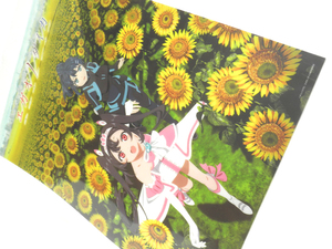 Ega Ono Daika Clear Poster Yuki &amp; Stella * Это может быть завернут и упакован во время отгрузки.