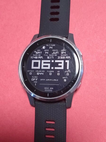ガーミン Garmin vivoactive 4