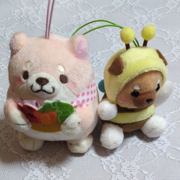 忠犬もちしば さくらとミツバチハニー 豆三郎