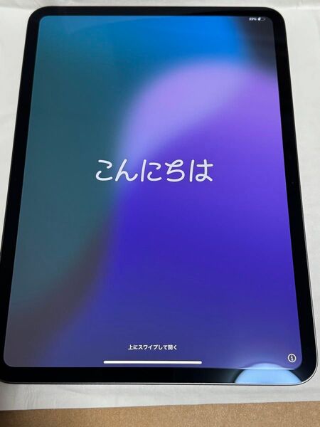最新 美品 iPad Pro 11インチ M4 256GB スペースグレー sku15