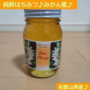 純粋はちみつ♪みかん蜜♪和歌山県産♪農家直送♪小瓶600g♪