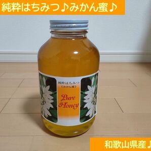 純粋はちみつ♪みかん蜜♪和歌山県産♪農家直送♪大瓶2,400g♪