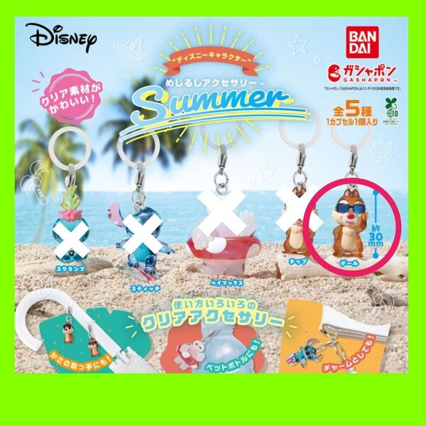 ディズニーキャラクター めじるしアクセサリー SUMMER デール