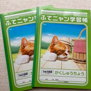 ふてニャン学習帳 2冊セット