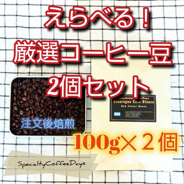 注文後焙煎100g x 2★選べる!自家焙煎スペシャルティコーヒー豆 2種セット