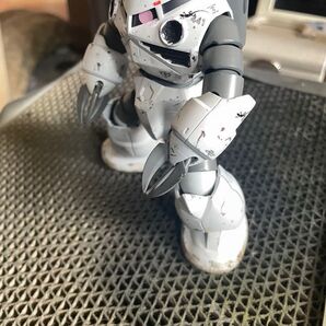 HG ズゴック 完成品
