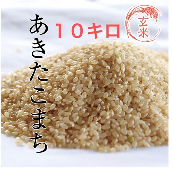 あきたこまち 玄米 10キロ 令和6年度産