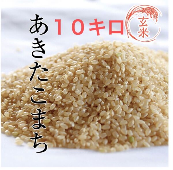 あきたこまち 玄米 10キロ 令和6年度産