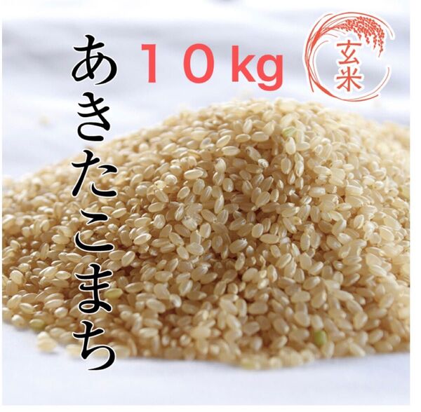 あきたこまち 玄米 10キロ 令和6年度産