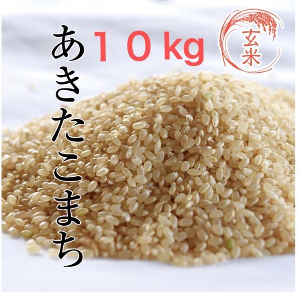 あきたこまち 玄米 10キロ 令和6年度産