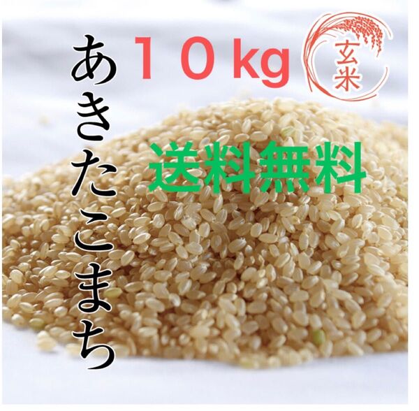 あきたこまち 玄米 10キロ 令和6年産