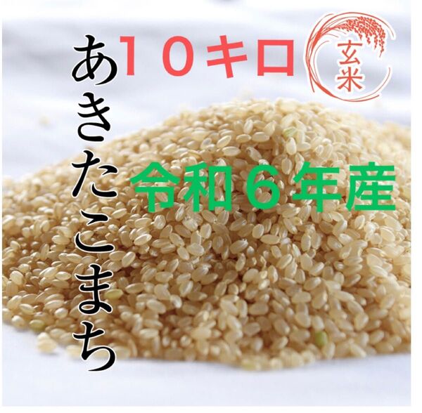 あきたこまち 玄米 10キロ