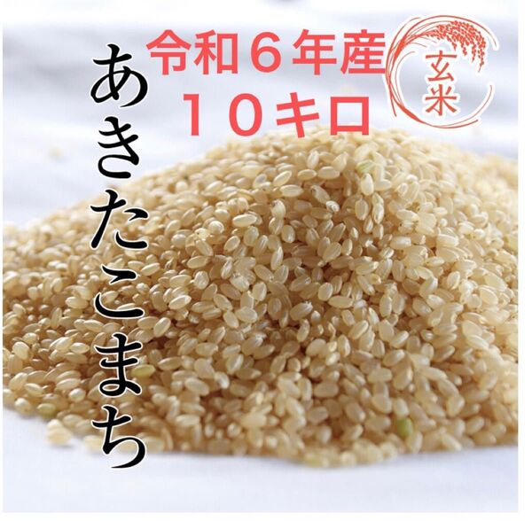 あきたこまち 玄米 10kg