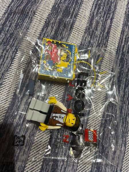 LEGO レゴランド ファクトリー ブロック 限定品 ミニフィグ 俳優