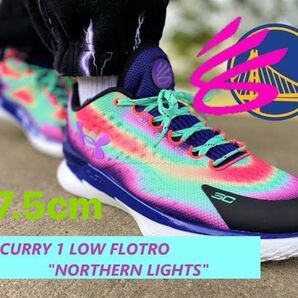 アンダーアーマー Under Armour Curry 1 Low FloTro カーボンファイバーインソール 新品 2枚付き