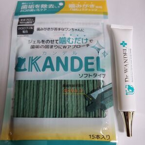 カンデル ソフトタイプ 15本 ワンデル プラス 30g セット