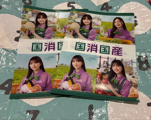 国消国産 乃木坂46 クリアファイル