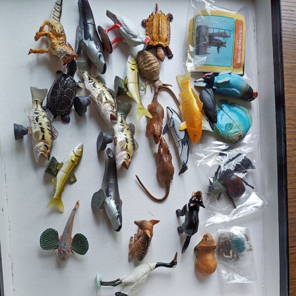 フィギュア まとめ売り 魚 動物 恐竜