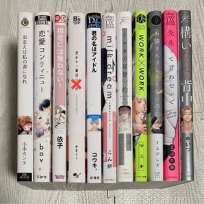BLコミックまとめ売り 22冊セット