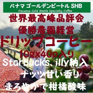 【セール特価15%OFF】パナマ ゴールデンビートル ドリップコーヒー 400g(10gx40p入り)