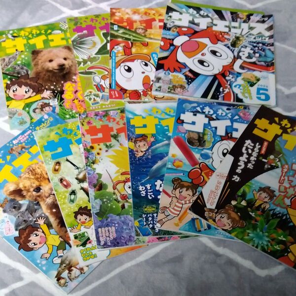 わくわく サイエンス ブック 10冊 チャレンジ ちゃれんじ 進研ゼミ 小学生 1年生 1ねんせい まとめ 2024年 2019年