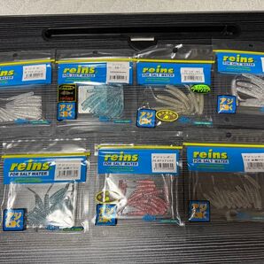 reins アジング ワーム 7個セット