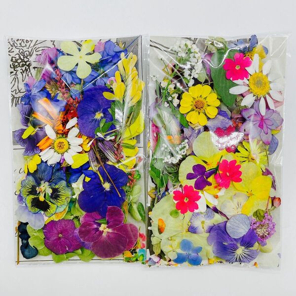 押し花&ドライフラワー花びらフラワーパーツ 5