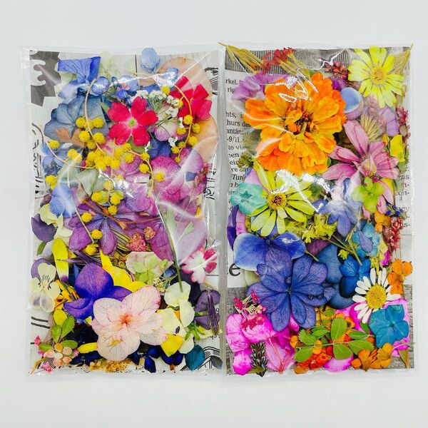 押し花&ドライフラワー花びらフラワーパーツ 2
