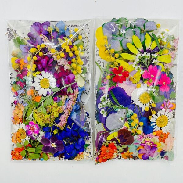 押し花&ドライフラワー花びらフラワーパーツ 9