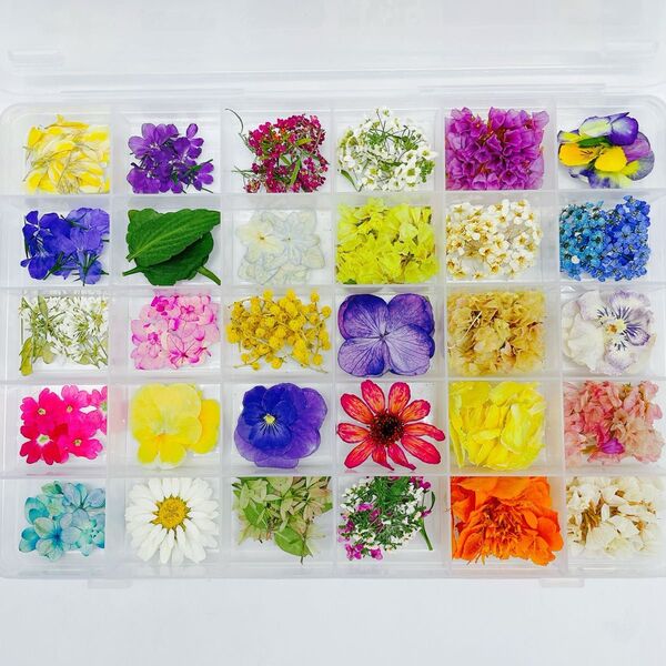 押し花&ドライフラワー詰め合わせ30種類 2