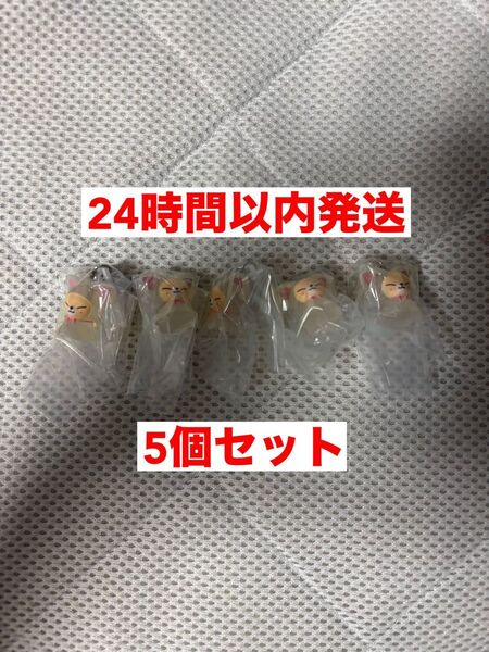 skzoo スキズ ガチャ めじるしアクセサリー フォクシーニ 5個セット
