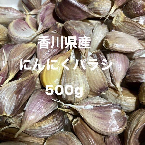 香川県産にんにくバラシ 500g