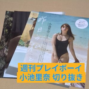 週刊プレイボーイ 2025年 no.23 小池里奈 切り抜き 8ページ