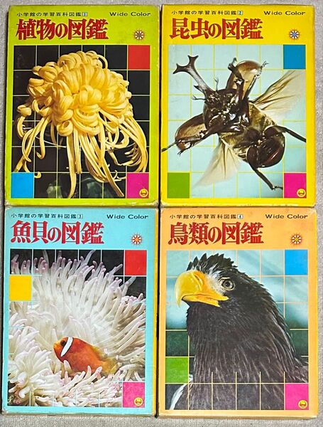 昭和 小学館の学習百科図鑑 植物の図鑑 昆虫の図鑑 魚貝の図鑑 鳥類の図鑑 4冊 No,1〜No,4