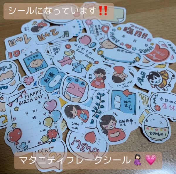 マタニティフレークシール A5サイズ ぷにぷに柄 母子手帳 エコーアルバム