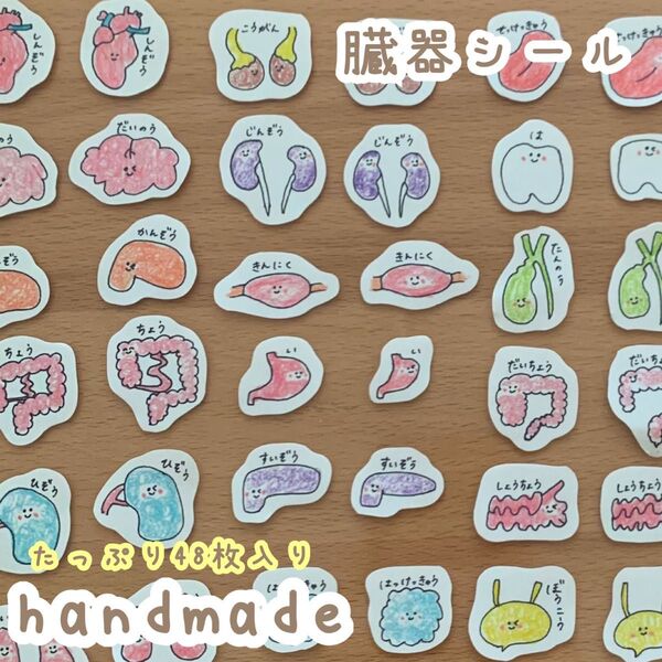 臓器シール 医療学生 看護学生 クエスチョンバンク A6