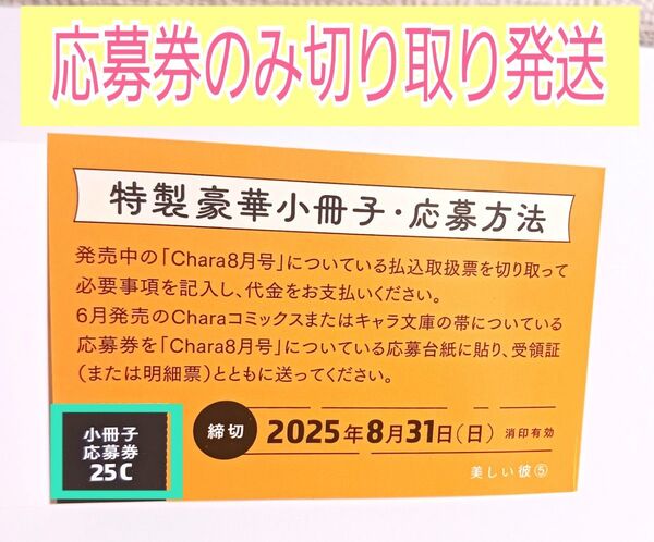 Chara 創刊30周年&キャラ文庫28周年記念 特製豪華小冊子 【美しい彼5巻 付属の応募券1枚のみ】
