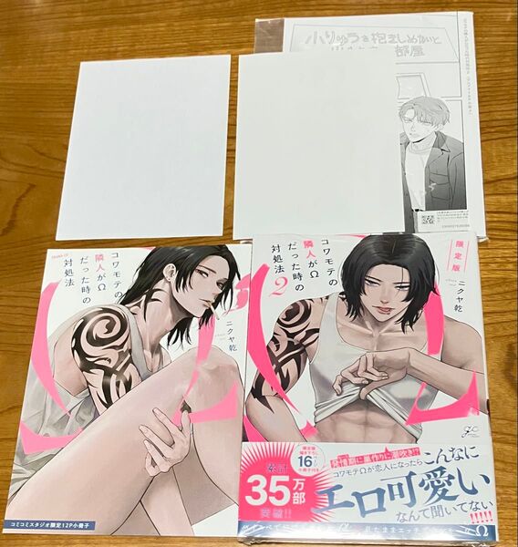 コワモテの隣人がΩだった時の対処法 2巻 限定版 CD小冊子
