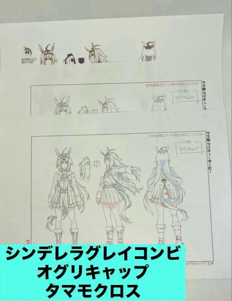 シングレコンビ 【オグリキャップ】【タマモクロス】 設定資料集