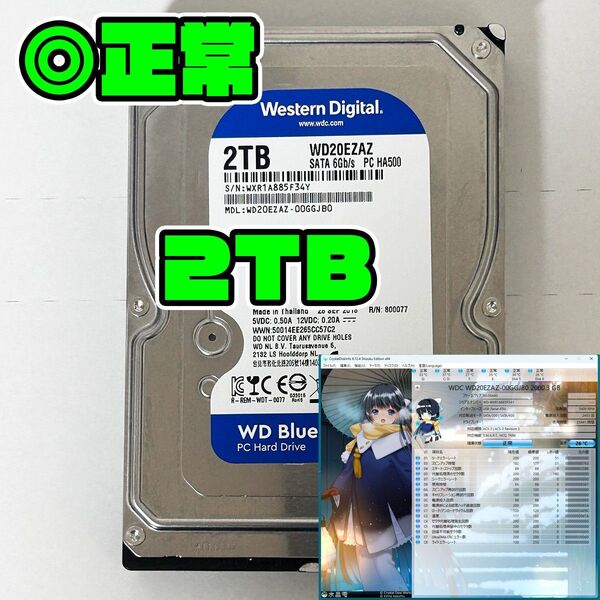 正常品 2TB HDD 3.5インチ SATA WD製 WestanDigital