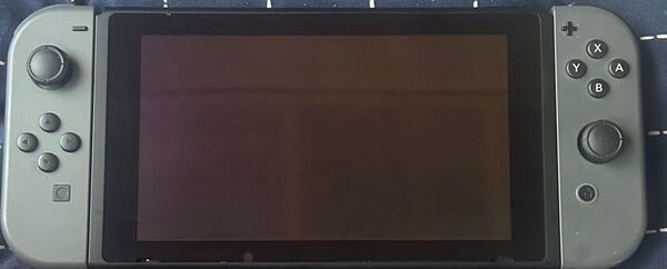 Nintendo Switch 本体 ジョイコン ジョイコングリップ 充電器 SDカード 128GB
