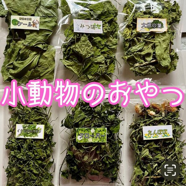 小動物のおやつ☆乾燥野菜 野草 6袋詰め合わせ!!