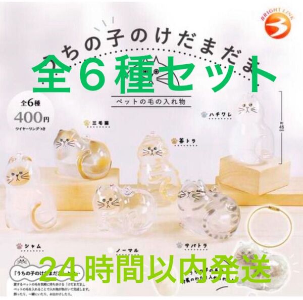うちの子のけだまだま ガチャ カプセルトイ ガチャガチャ 全6種 コンプリート