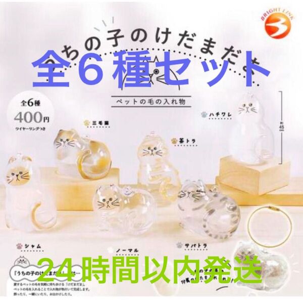 うちの子のけだまだま ガチャ カプセルトイ ガチャガチャ 全6種 セット売り
