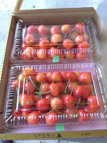 212 dqf様 注文品 サクランボ 700g 宅急便コンパクトで送ります 家庭用 M玉L玉 混合詰め